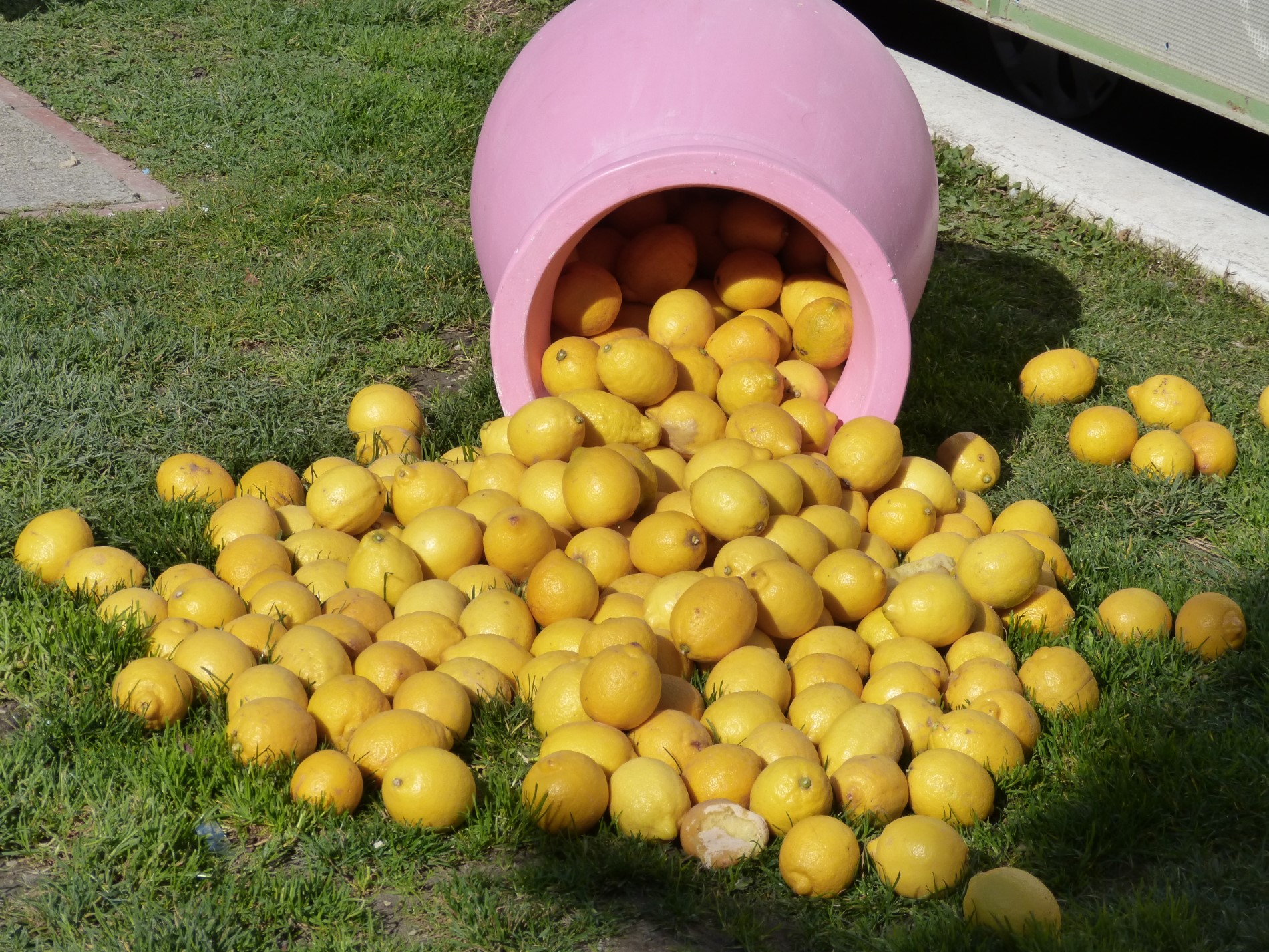 Citrons Mimosa Carnaval Nice