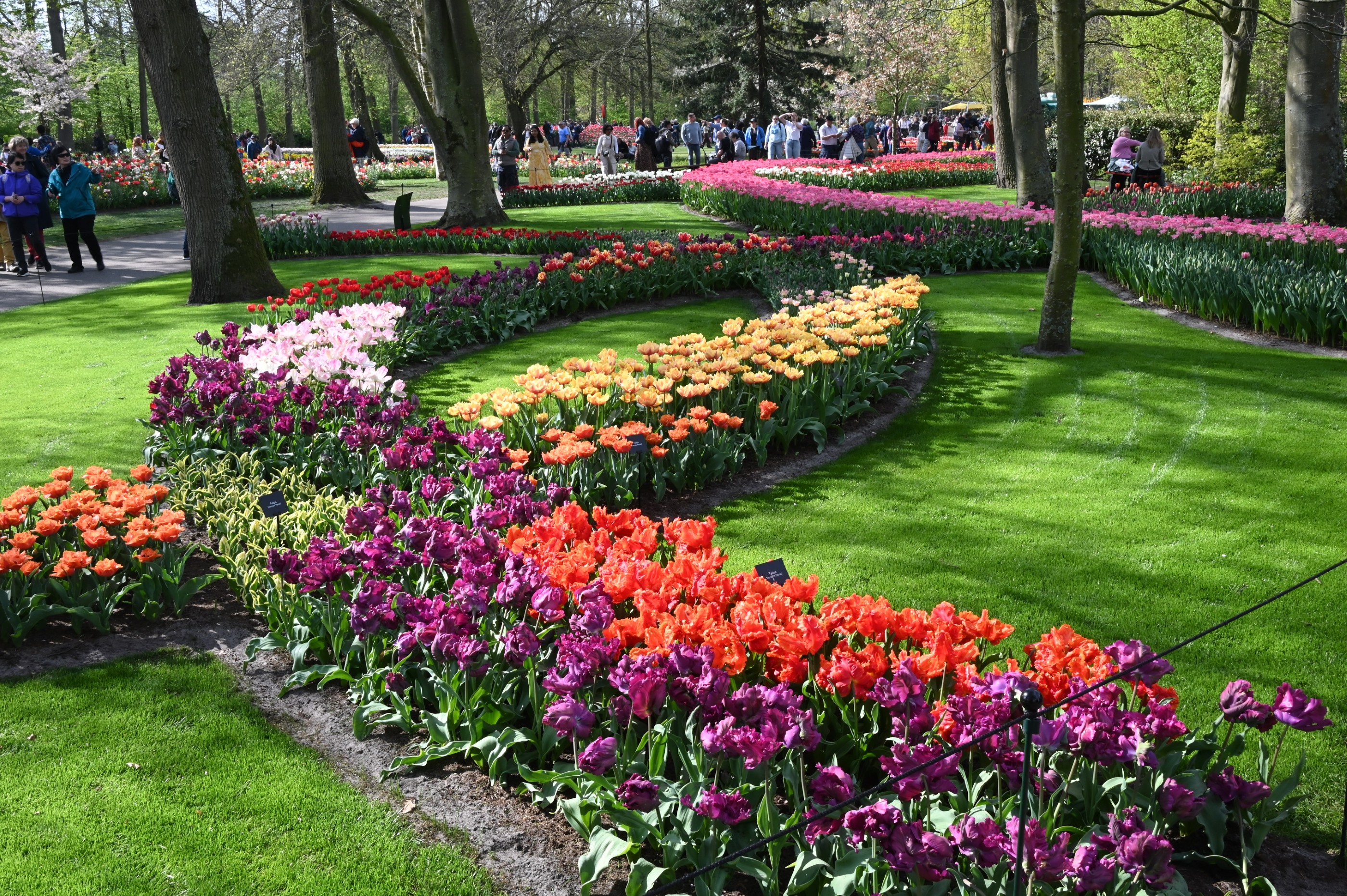 Découverte des Pays-Bas