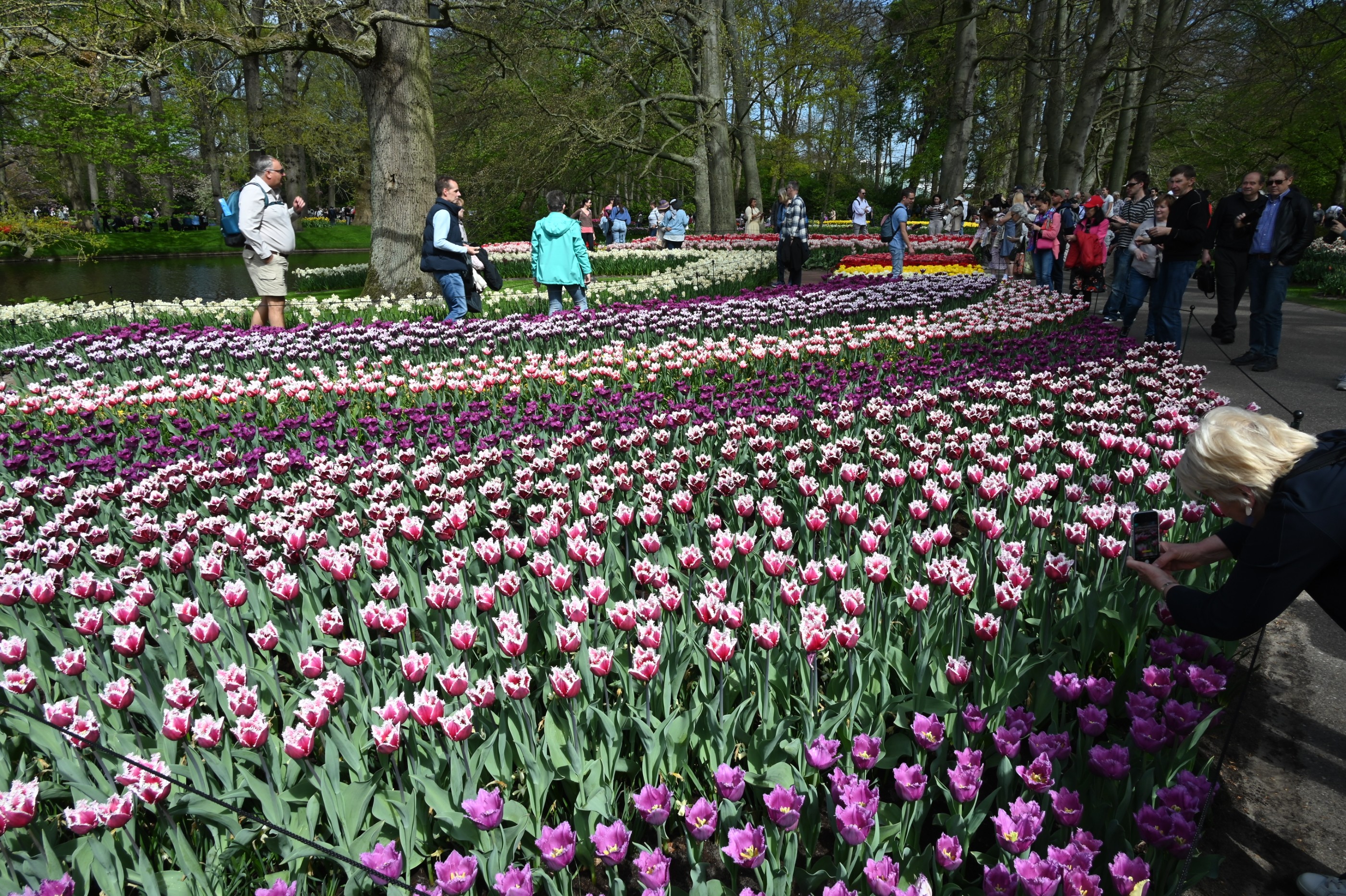 Découverte des Pays-Bas