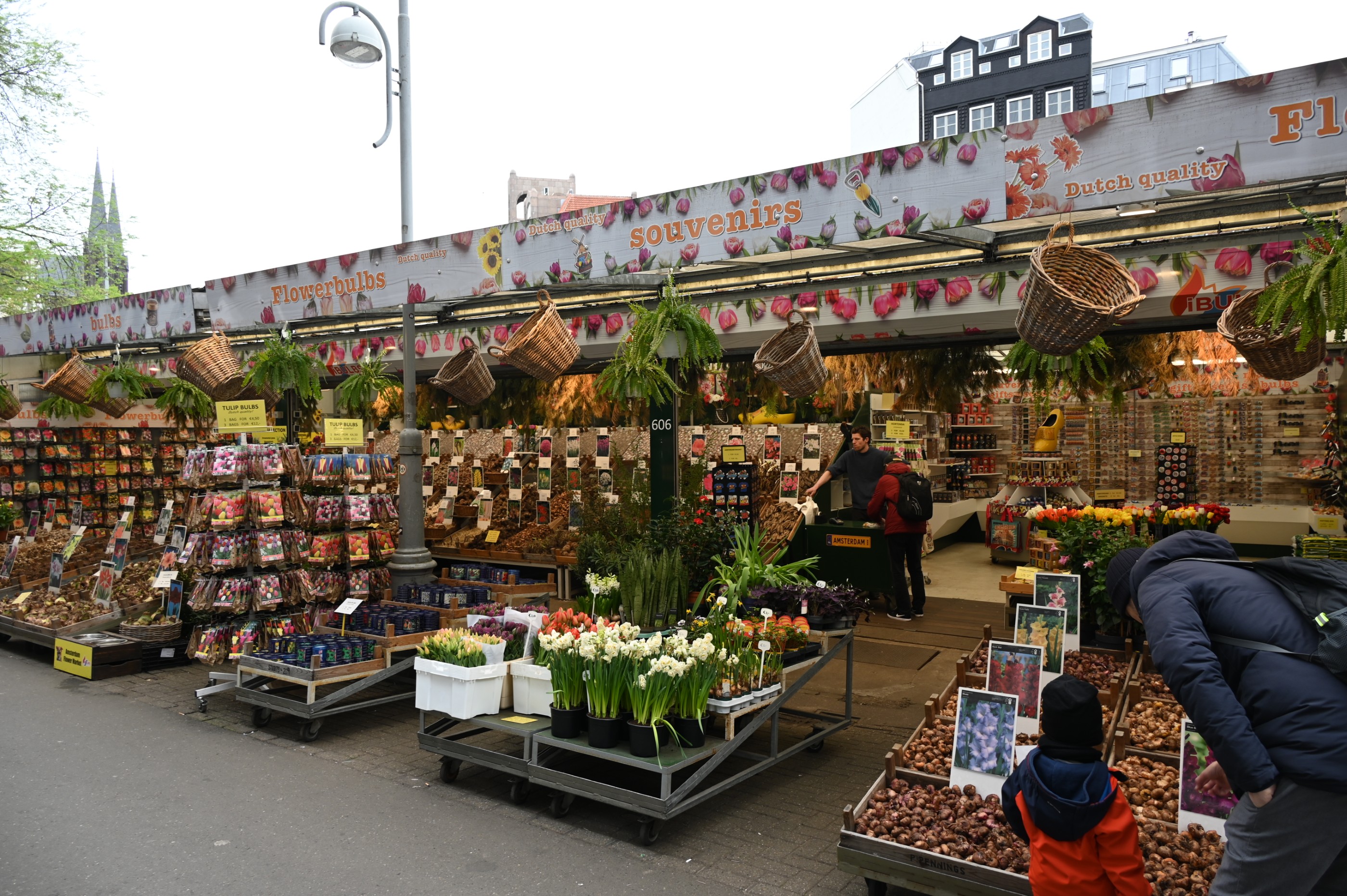 Découverte des Pays-Bas