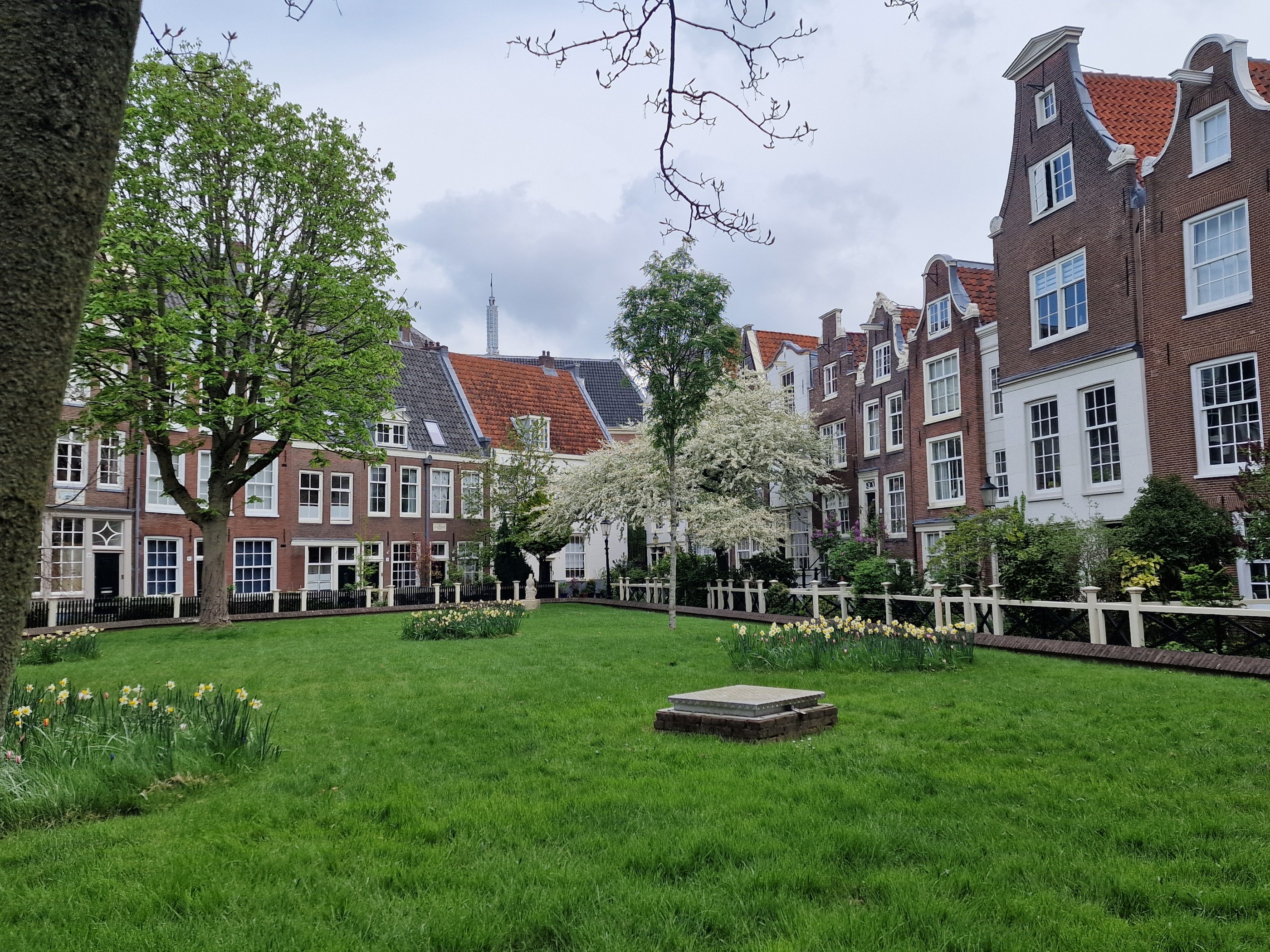 Découverte des Pays-Bas