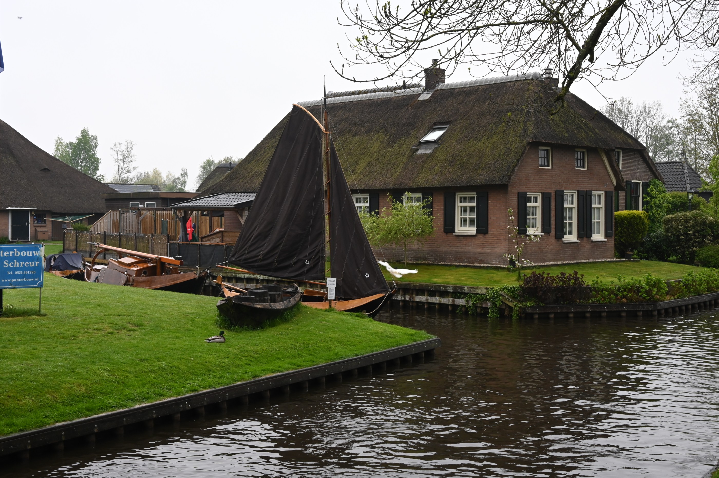 Découverte des Pays-Bas