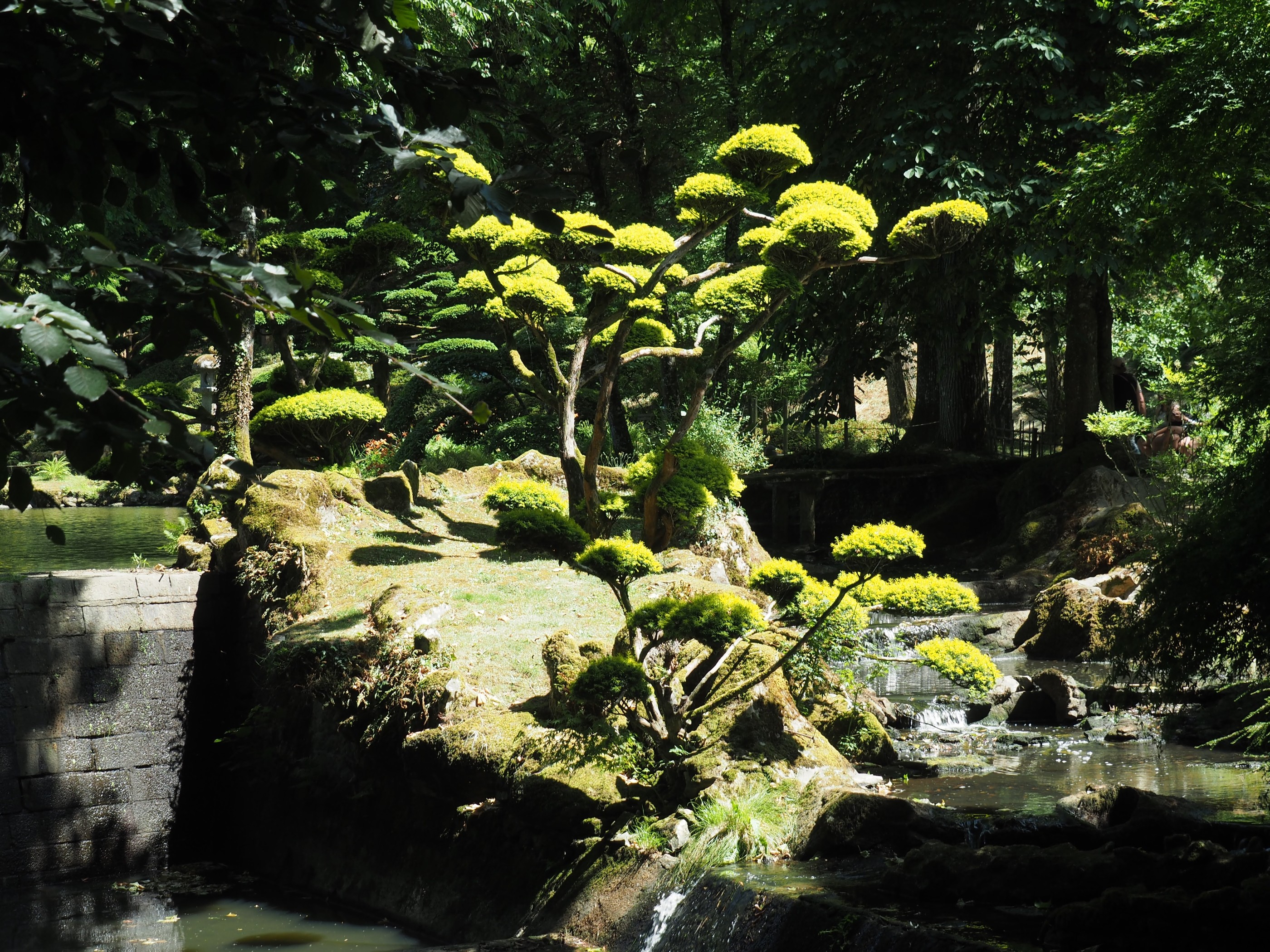 2025 Le Marais Poitevin