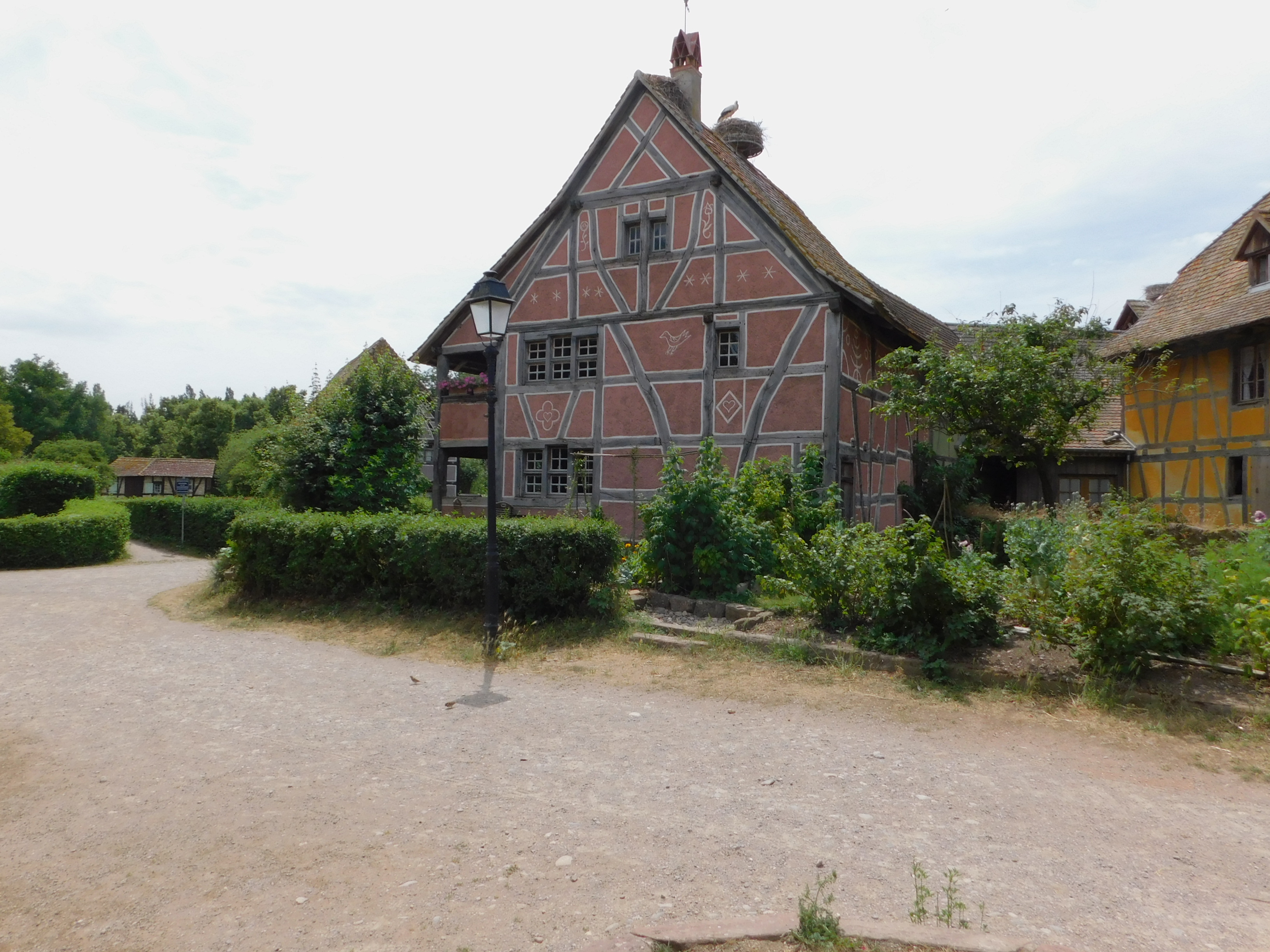  L'ALSACE   Du 14 au 28 Juin