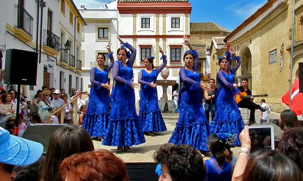 Danseuses Flamenco