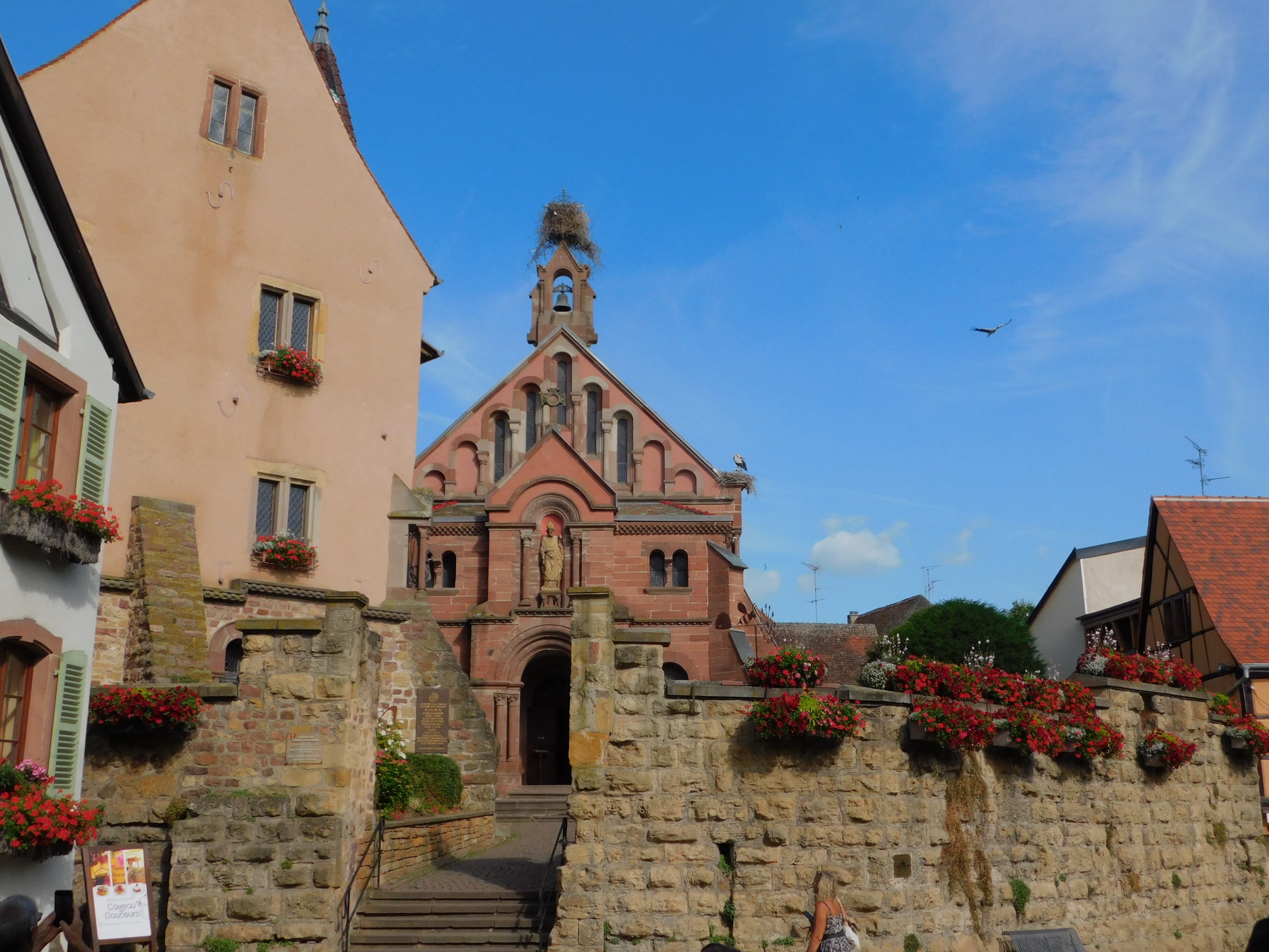 L'ALSACE   Du 14 au 28 Juin